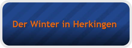 Der Winter in Herkingen 